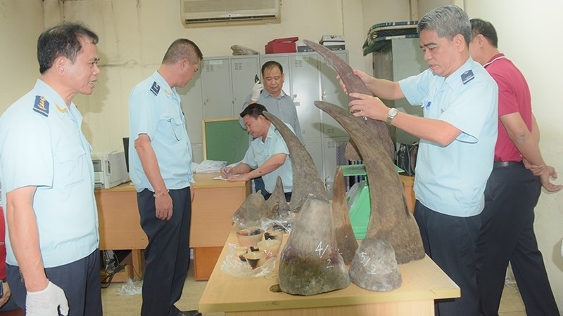 The rhino horns seized by customs officers