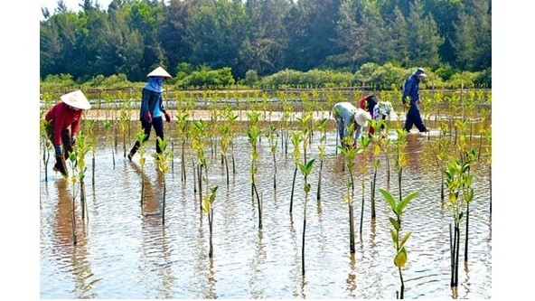 Vietnam has worked hard to finish all committed actions related to climate change. (Representative photo)
