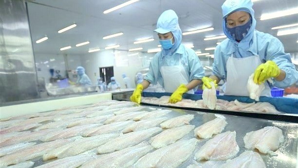 Seafood was among the top four export items that saw the strongest growth in the last nine months. (Photo: VNA)
