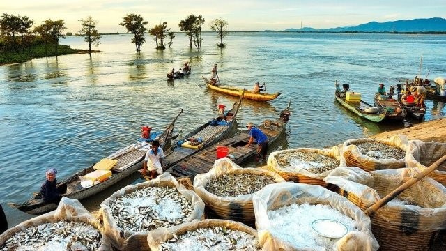 The annual floodwaters in the Mekong Delta provide a bounty of fish, shrimp, and other aquatic species.