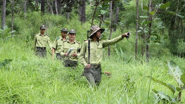 Vietnamese forest rangers on a patrol (Photo: VNA)