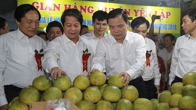 Minister of Agriculture and Rural Development Nguyen Xuan Cuong visits a booth showcasing Doan Hung pomelos.