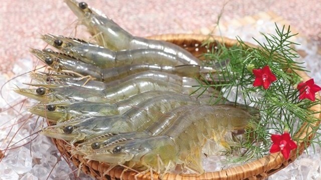 Canada is the sixth largest importer of Vietnamese shrimp, accounting for 4.3% of Vietnam's total shrimp exports to foreign markets in the first nine months of this year. 
