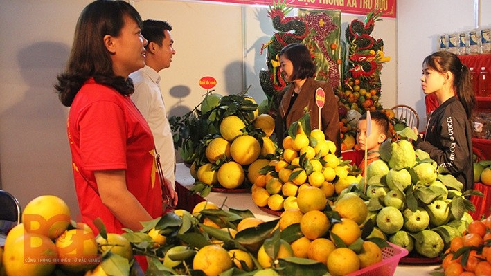 A pavilion showcasing oranges, pomelos and typical farm produce of Luc Ngan district in Bac Giang province (photo: bacgiang.gov.vn)