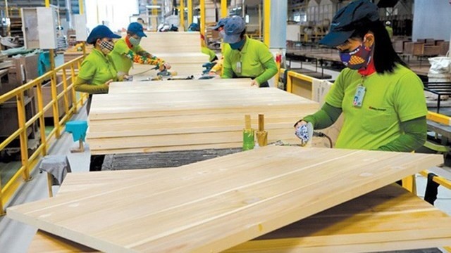 Timber and wood products brought in over US$7.22 billion during the January-October period. (Photo: Vinanet)