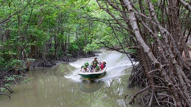 Trips to Can Gio district will stun visitors with the primeval forests at the UNESCO-recognised Can Gio Mangrove Biosphere Reserve (Photo: VNA)