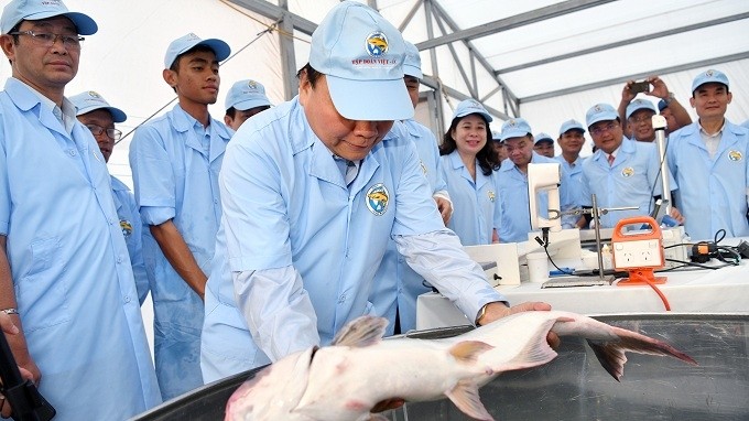 PM Nguyen Xuan Phuc visits a high-tech tra fish farm in Tan Chau town's Vinh Hoa commune in An Giang province. (Photo: VGP)