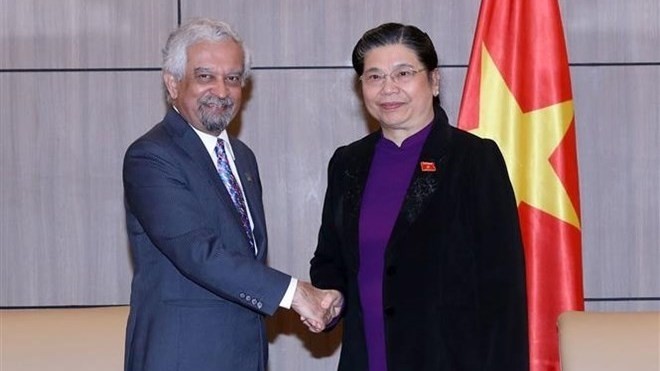 Kamal Malhotra, UN Resident Coordinator in Vietnam and National Assembly Vice Chairwoman Tong Thi Phong (R) (Photo: VNA)