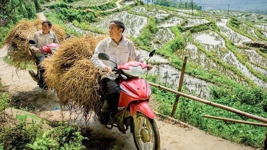 Farmers in Hoang Lien Son use motorbikes to transport animal feed (Photo: nationalgeographic.com)
