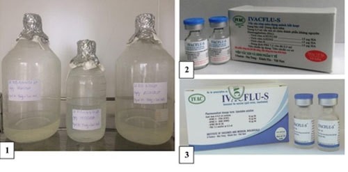 The IVACFLU-S vaccine produced by Vietnam 
