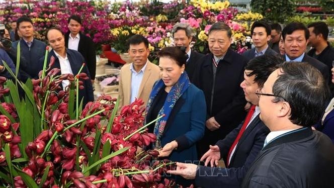NA Chairwoman visits flower-growing model in Xuan Quan commune (Photo: VNA)  
