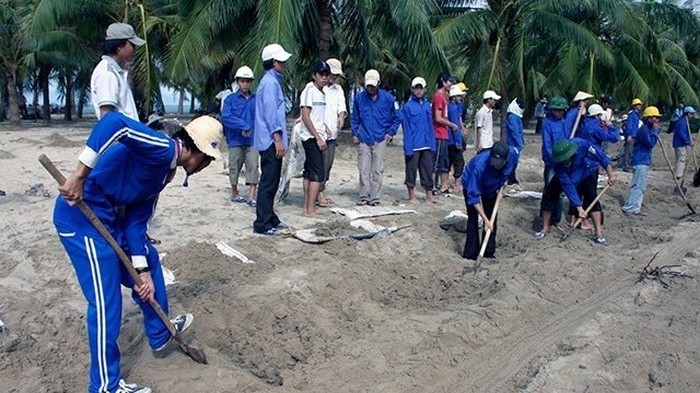 Youth union members in  Hoi An city, Quang Nam province take part in a beach clean-up.