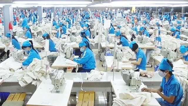 A garment line at TNG Investment and Trading Joint Stock Company in Thai Nguyen (Photo: Xuan Hoa)