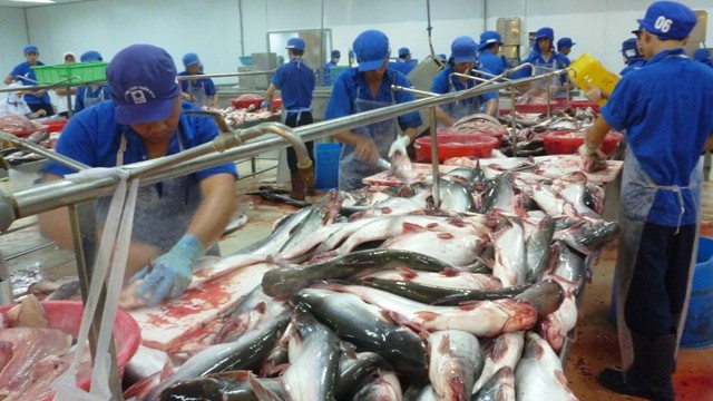 Vietnam's shark catfish exports hit US$2.26 billion in 2018.