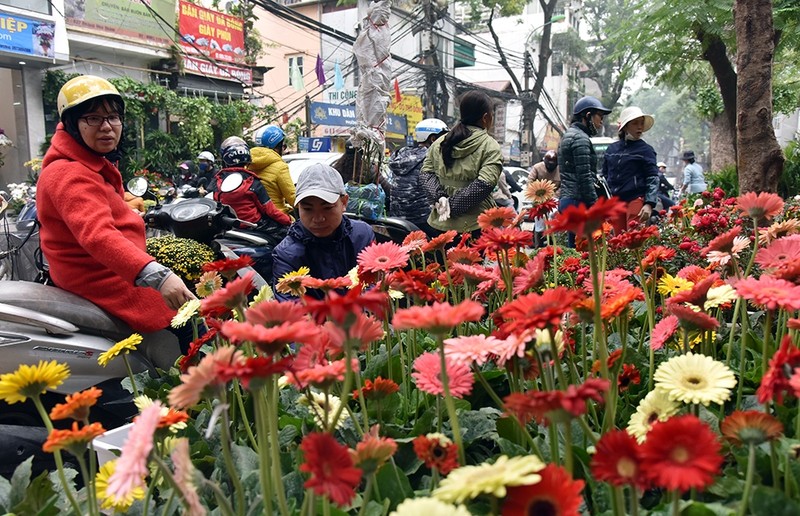 On Hoang Hoa Tham street, from Buoi market junction to Van Cao street junction, there are always people, flowers, ornamental creatures and pets.