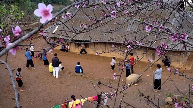 Children play together under the colour of peach blossom.
