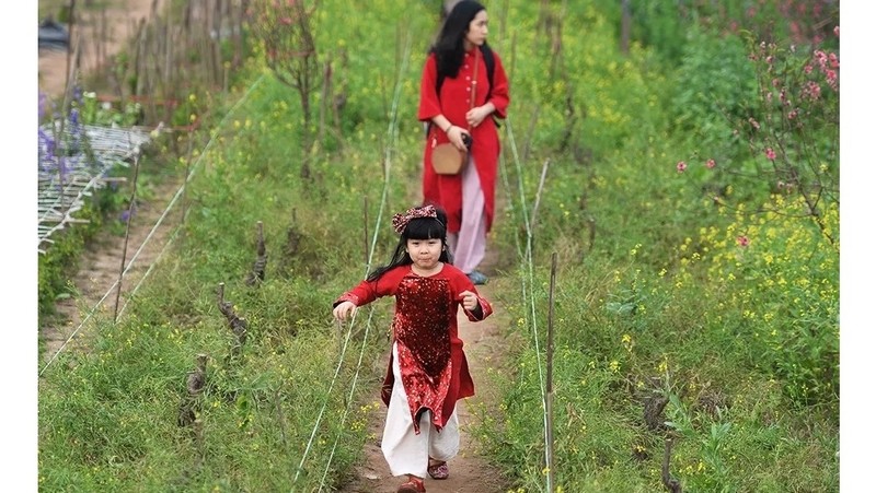 A little girl in ao dai brought to Nhat Tan flower garden by her family to record beautiful memories in the spring atmosphere.