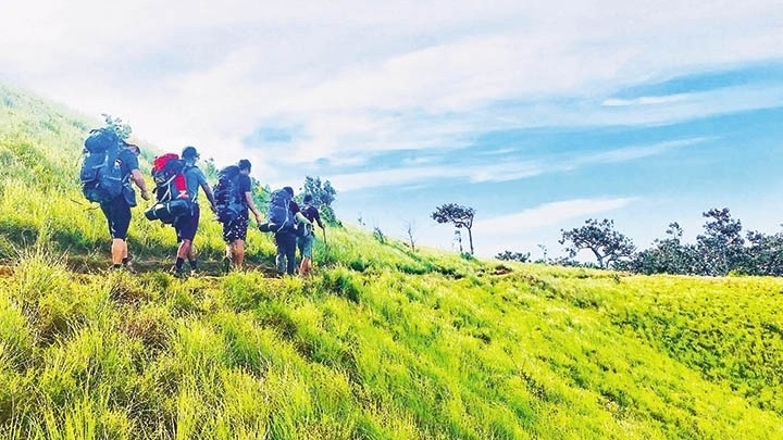 The 30-kilometre forest trail connecting the Central Highlands and coastal region has now become an attractive trekking tour for backpackers. 