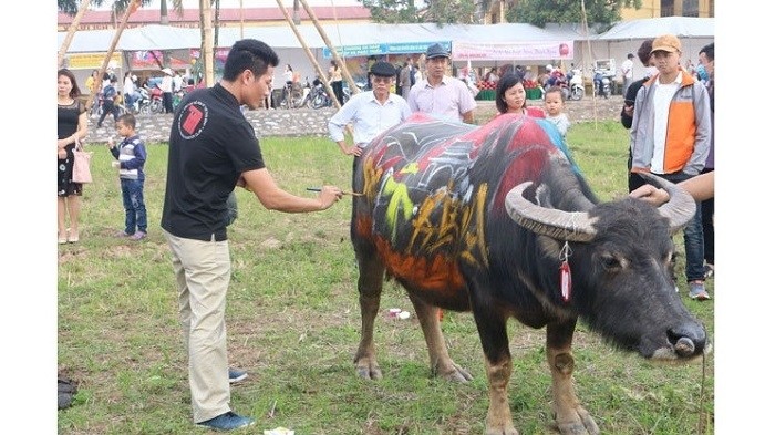 A painter paints a buffalo chosen for the Doi Son Tich Dien (ploughing) Festival, which is held annually on the seventh day of the first lunar month. (Photo: NDO/Dao Phuong)