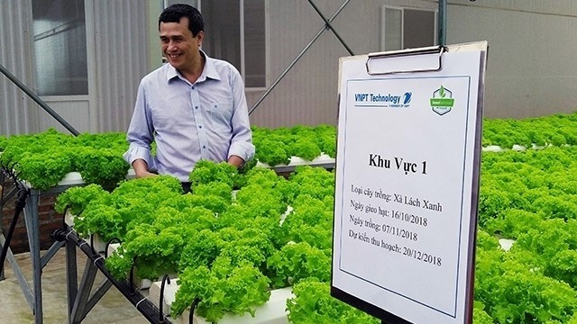 An agricultural crop cultivation model using smart solutions run by VNPT in Hanoi’s Hoa Lac Hi-Tech Park.