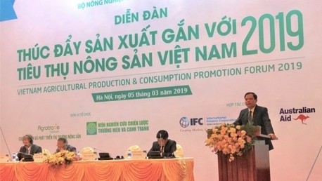 Minister of Agriculture and Rural Development Nguyen Xuan Cuong speaking at the forum (Photo: VOV)