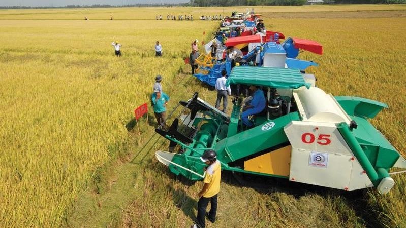 Farmers use machines to harvest rice. (Photo: Bao Dau tu)