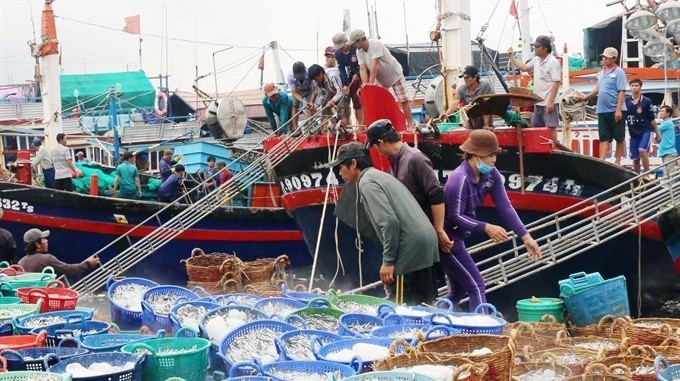 Fish is carried from boats at Ca Na Fishing Port in Thuan Nam district, south central province of Ninh Thuan. (Photo: VNA)