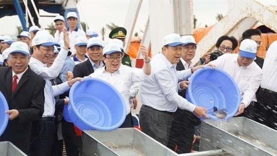 Nearly 5.3 million breeding shrimps and fish, and other aquatic species were released into the sea off the northern province of Quang Ninh on April 1. (Photo: laodong.vn)