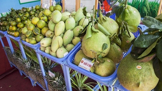Exports of agro-forestry and aquatic products in March estimated at US$3.3 billion, bringing the sector’s total exports in the first quarter of this year to nearly US$9 billion. (Photo: VNA)