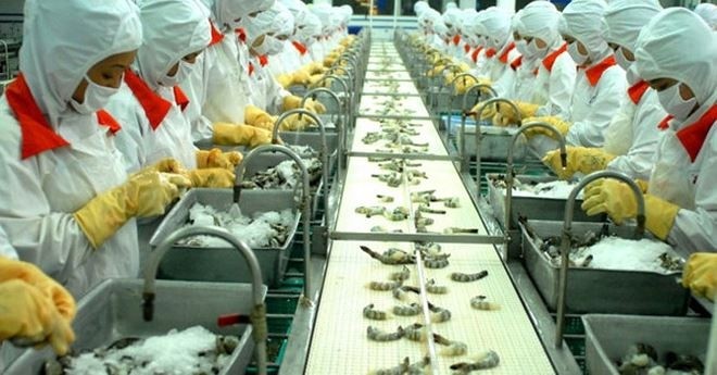 31 Vietnamese shrimp exporters can enjoy a 0% antidumping tax rate (illustrative image)