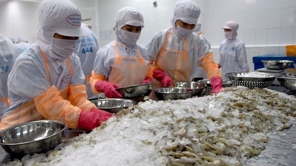 The EU was the largest market of Vietnamese shrimp in the first two months of 2019. (Photo: VNA)