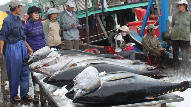 Vietnam’s export of tuna to China rocketed by 771% in  the first two months of this year.