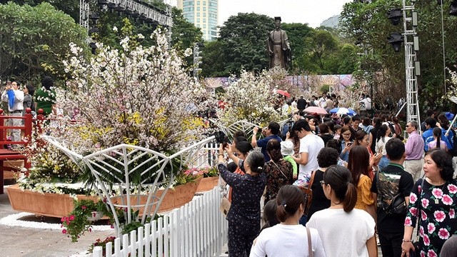 The 2019 Japanese Cherry Blossom Festival takes place from March 29 to April 2. (Photo: NDO/Duy Linh)