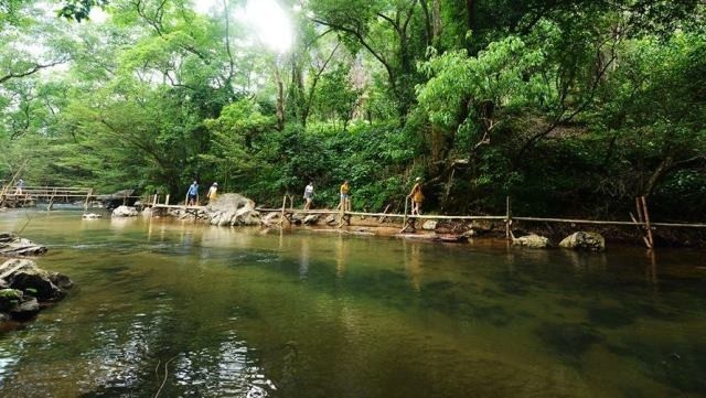 Covering over 50,000 sq.m, Ozo Treetop Park is evaluated as the most unique and attractive tourism product in Quang Binh at present.