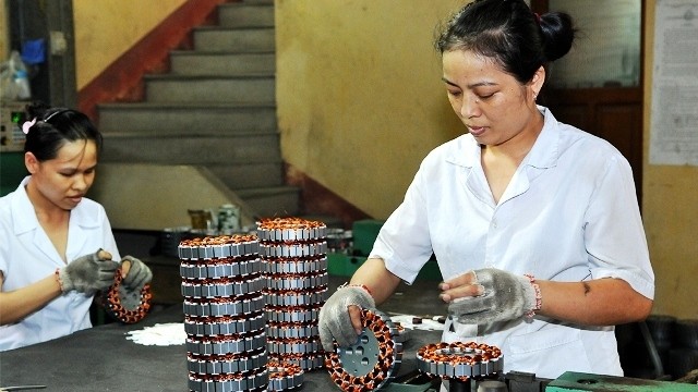 The financial support is expected to help women-led SMEs in Vietnam and the Pacific to access critical financing and training. (Photo: NDO/Dang Khoa)