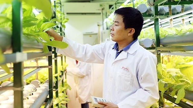 Researchers from Rang Dong Light Source and Vacuum Flask Joint Stock Company test led products on agricultural products.