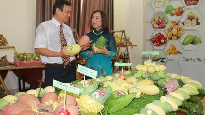 Following Dong Thap, An Giang has had their first batch of high-quality mangoes exported to the US. (Photo: VNA)
