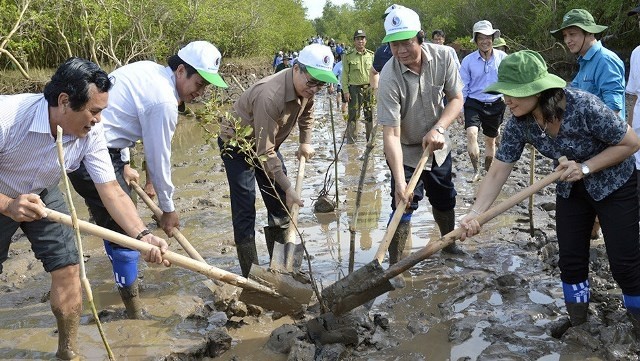 Bac Lieu authorities and leaders from the Ministry of Natural Resources and Environment join delegates in planting mangroves against coastal landslides, Bac Lieu, May 31, 2019. (Photo: baotainguyenmoitruong.vn)