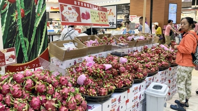 Vietnamese dragon fruits introduced to Japanese consumers. (Photo: VOV)