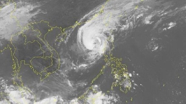 Up to five storms are forecast to directly impact Vietnam’s mainland from July to December this year. (Illustrative image: NCHMF)