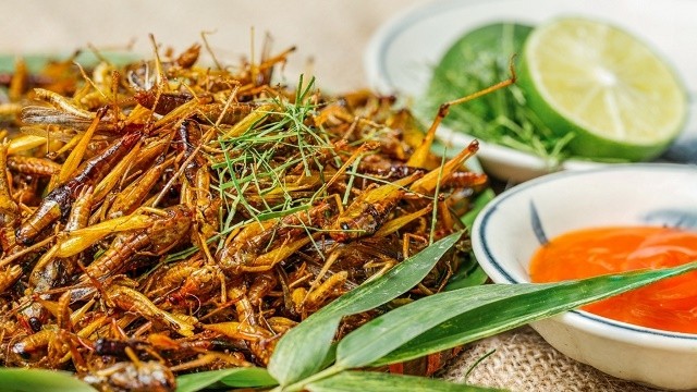 Roasted grasshoppers are popular as they are healthy and tasty. 
