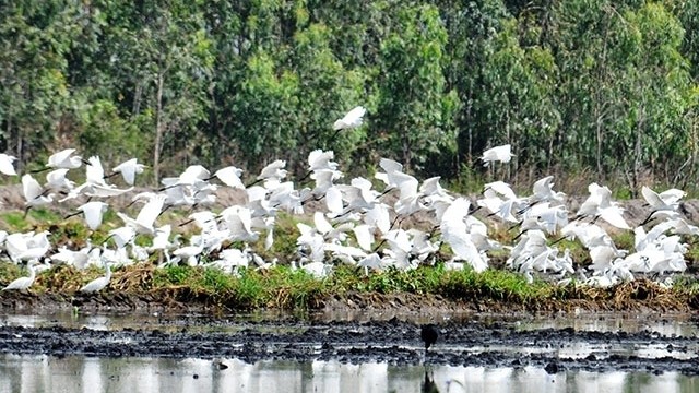 Lang Sen Wetland Reserve