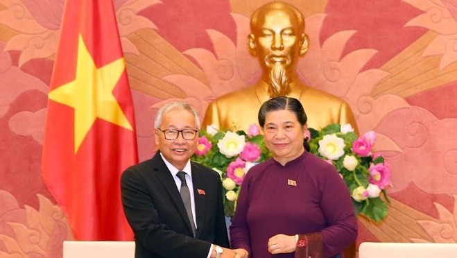 CPV Politburo member and Vice Chairwoman of the Vietnamese National Assembly Tong Thi Phong (R) receives U Thein Oo, member of the NLD Central Executive Committee, head of the financial committee and member of the economic committee of the NLD, in Hanoi on July 3 (Photo: VNA)