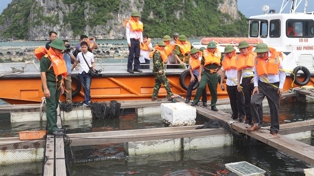 Staff of the Quang Ninh Province's Committee for Flood and Storm Prevention and Control check on fish cages in Van Don District ahead of Typhoon Mun. — VNA/VNS Photo Duc Hieu