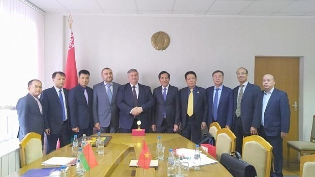 The Vietnamese delegation works with Belarus's Ministry of  Communications and Information (Photo: VNA)
