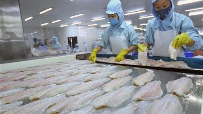 Malaysia was among the ASEAN countries posting the highest rise in import revenue of Vietnamese tra fish. (Illustrative image)