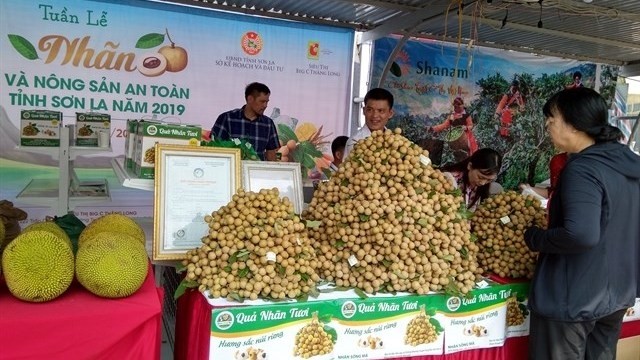 A customer buys longan in the “Son La Longan and Safe Farm Produce Week 2019” programme at Big C Thang Long in Hanoi.