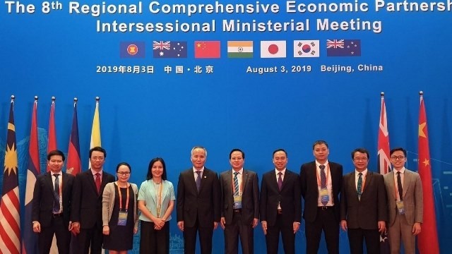 Vietnamese delegation to 8th RCEP Intersessional Ministerial Meeting (Source: VNA)