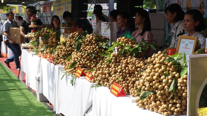 Hung Yen longan being showcased at 10 pavilions at Big C Thang Long in Hanoi. (Photo: thuongtruong.com.vn)