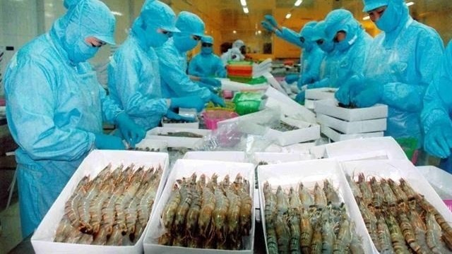Processing shrimp for export. Vietnam met goals of export value growth at 7.5% in 2019.(source: thegioihoinhap.vn)